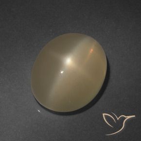 Pedra da Lua Estrela Marrom claro Natural 6.37ct, oval, Translúcido