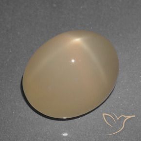 Pedra da Lua Estrela Marrom Pálido Natural 5.74ct, oval, Translúcido