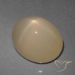 Pedra da Lua Estrela Marrom Pálido Natural 5.74ct, oval, Translúcido
