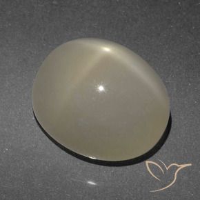 Pedra da Lua Estrela Marrom claro Natural 6.84ct, oval, Translúcido