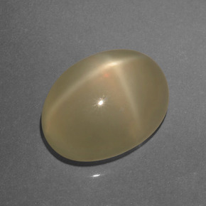 Pedra da lua estrela creme natural 6,48ct, corte oval, translúcido