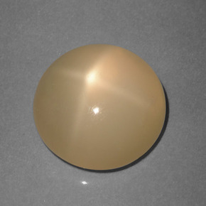 Pedra da lua estrela laranja natural 5,89ct, corte redondo, translúcido