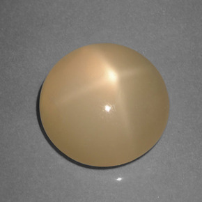 Pedra da lua estrela laranja natural 5,89ct, corte redondo, translúcido