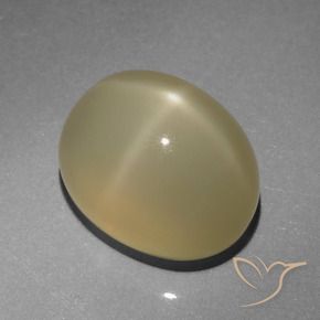 Pedra da Lua Estrela Castanho muito claro Natural 6.64ct, oval, Translúcido
