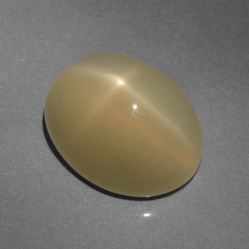 Pedra da lua estrela marrom natural 6,64ct, corte oval, translúcido