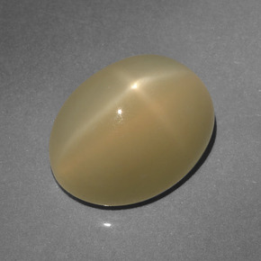 Pedra da lua estrela marrom natural 6,64ct, corte oval, translúcido