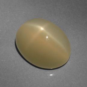 Pedra da lua estrela marrom natural 6,64ct, corte oval, translúcido
