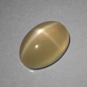 Pedra da lua estrela marrom natural 6,89ct, corte oval, translúcido