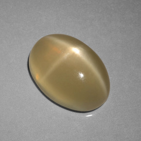 Pedra da lua estrela marrom natural 6,89ct, corte oval, translúcido