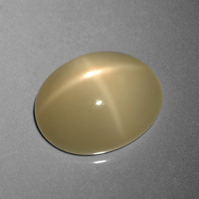 Pedra da Lua Estrela Café Marrom Claro Natural 8.95ct, Corte Oval, Translúcido