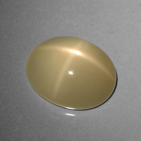 Pedra da Lua Estrela Café Marrom Claro Natural 8.95ct, Corte Oval, Translúcido