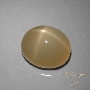 Pedra da Lua Estrela Marrom-amarelado Natural 8.51ct, oval, Translúcido