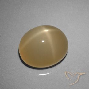 Pedra da Lua Estrela Marrom-amarelado Natural 8.51ct, oval, Translúcido