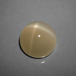 Pedra da lua estrela marrom natural 8,73ct, corte redondo, translúcido