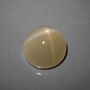 Pedra da lua estrela marrom natural 8,73ct, corte redondo, translúcido