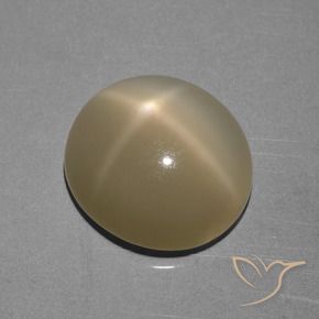 Pedra da Lua Estrela Castanho amarelo claro Natural 6.68ct, oval, Translúcido