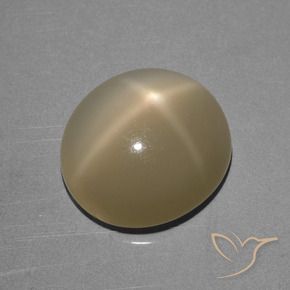 Pedra da Lua Estrela Castanho amarelo claro Natural 6.68ct, oval, Translúcido