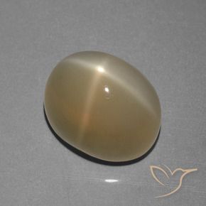 Pedra da Lua Estrela Marrom Pálido Natural 8.39ct, oval, Translúcido