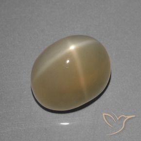 Pedra da Lua Estrela Marrom Pálido Natural 8.39ct, oval, Translúcido
