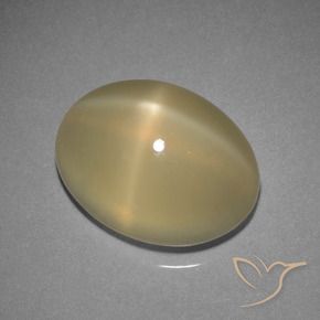 Pedra da Lua Estrela Castanho Claro Quente Natural 7.29ct, Corte Oval, Translúcido