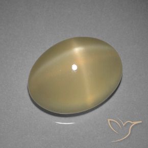 Pedra da Lua Estrela Castanho Claro Quente Natural 7.29ct, Corte Oval, Translúcido