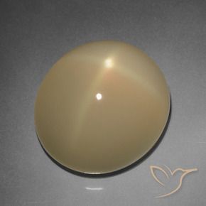 Pedra da Lua Estrela Tortilha Clara Marrom Natural 11.20ct, oval, Translúcido