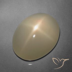 Pedra da Lua Estrela Marrom Pálido Natural 9.91ct, Corte Oval, Translúcido