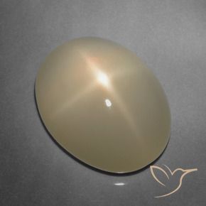 Pedra da Lua Estrela Marrom Pálido Natural 9.91ct, Corte Oval, Translúcido