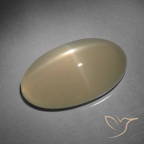 Pedra da Lua Estrela Marrom Pálido Natural 10.15ct, oval, Translúcido