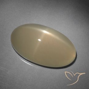 Pedra da Lua Estrela Marrom Pálido Natural 10.15ct, oval, Translúcido