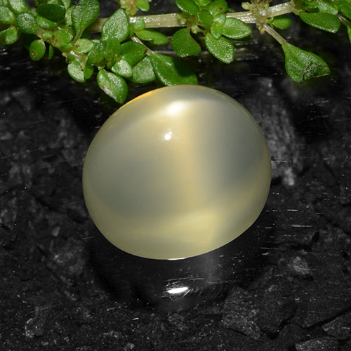 Pedra da lua estrela amarelo natural 11,57ct, corte oval, translúcido