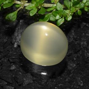 Pedra da lua estrela amarelo natural 11,57ct, corte oval, translúcido
