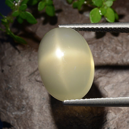Pedra da lua estrela amarelo natural 7,58ct, corte oval, translúcido