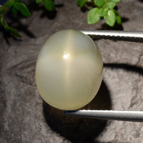 Pedra da lua estrela branco natural 11,40ct, corte oval, translúcido