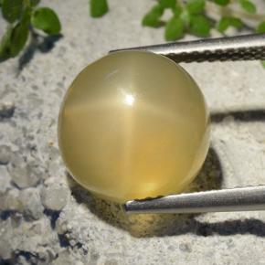 Pedra da Lua Estrela amarelo médio Natural 7.32ct, Corte Redondo, Translúcido