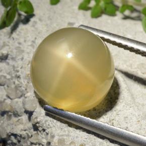 Pedra da Lua Estrela amarelo médio Natural 7.32ct, Corte Redondo, Translúcido