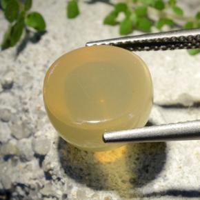 Pedra da Lua Estrela amarelo médio Natural 7.32ct, Corte Redondo, Translúcido