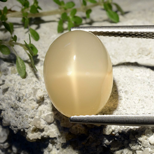 Pedra da lua estrela amarelo natural 7,68ct, corte oval, translúcido