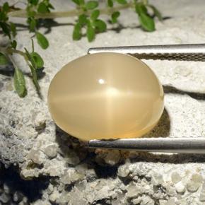 Pedra da lua estrela amarelo natural 7,68ct, corte oval, translúcido