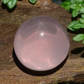 Quartzo rosa estrela rosa natural 18,85ct, corte redondo, translúcido