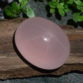 Quartzo rosa estrela rosa natural 28,08ct, corte oval, translúcido