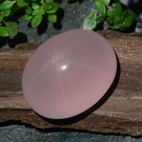 Quartzo rosa estrela rosa natural 28,08ct, corte oval, translúcido