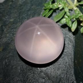 Quartzo Rosa Estrelado Rosa Natural 36.96ct, Corte Redondo, Transparente