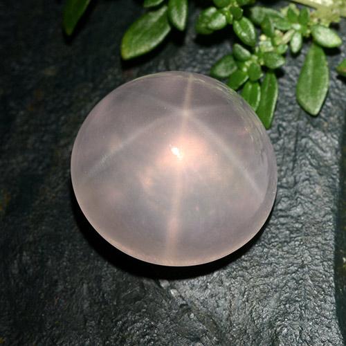 Quartzo rosa estrela rosa natural 25,63ct, corte redondo, transparente