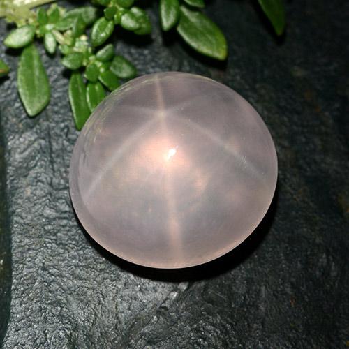 Quartzo rosa estrela rosa natural 25,63ct, corte redondo, transparente