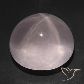 Quartzo Rosa Estrelado Coral Rosa Natural 73.83ct, oval, Transparente