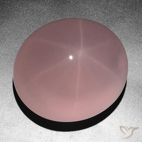 Quartzo Rosa Estrelado rosa rosa Natural 263.05ct, oval, Translúcido