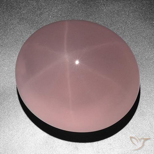 Quartzo Rosa Estrelado rosa rosa Natural 263.05ct, oval, Translúcido