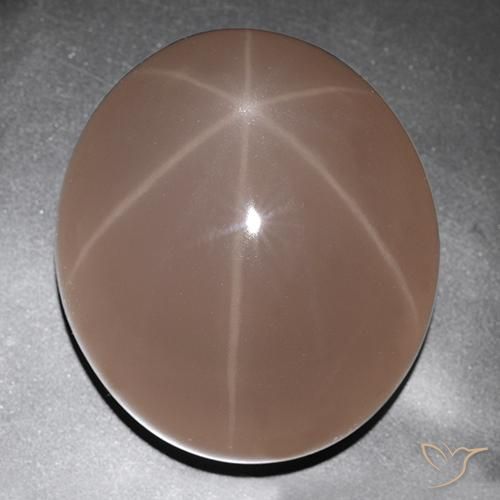 Quartzo Rosa Estrelado joaninha vermelha Natural 529.63ct, oval, Translúcido