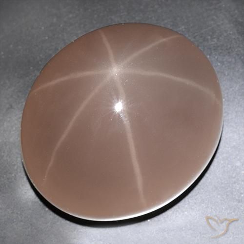 Quartzo Rosa Estrelado joaninha vermelha Natural 529.63ct, oval, Translúcido